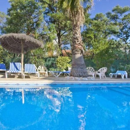 Studio/F1Bis A 50 M De La Plage Argelès-sur-Mer Esterno foto