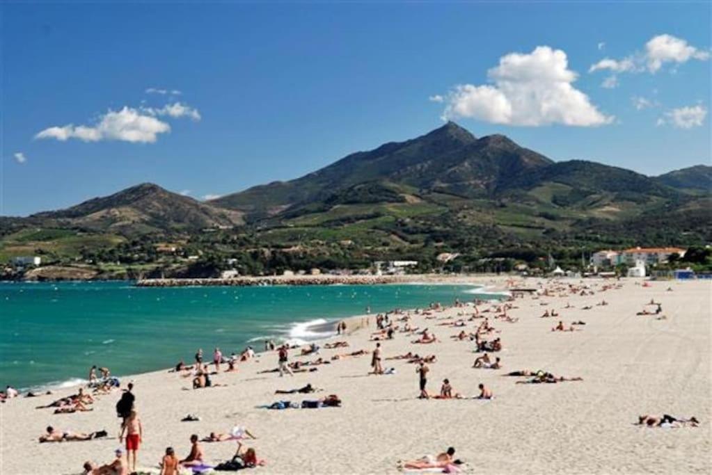 Studio/F1Bis A 50 M De La Plage Argelès-sur-Mer Esterno foto
