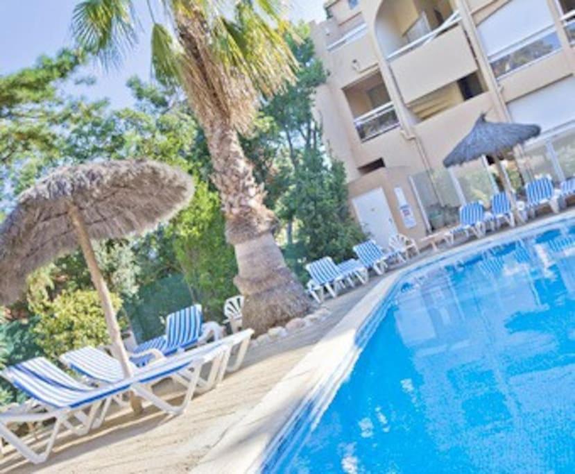 Studio/F1Bis A 50 M De La Plage Argelès-sur-Mer Esterno foto