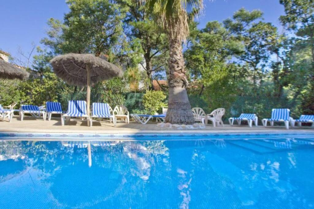 Studio/F1Bis A 50 M De La Plage Argelès-sur-Mer Esterno foto